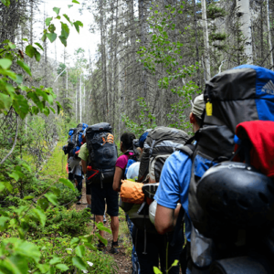 A group backpacking in a forest